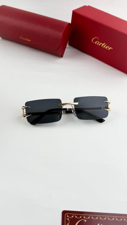 Cartier Sunglass