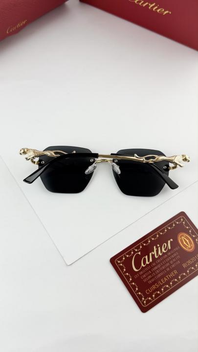 Cartier Sunglass